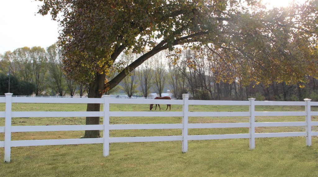 Is Vinyl Fencing Good For Horses?