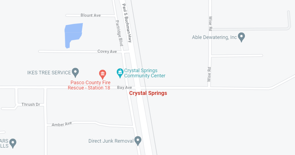 Crystal Springs FL USA Map